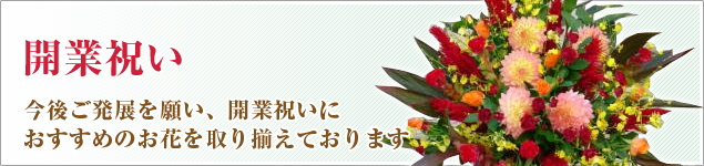 今後ご発展を願い、開業祝いにおすすめのお花を取り揃えております